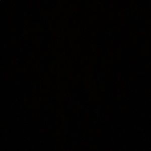 Meet your Posher, Vick